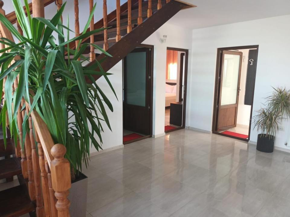 מלון Două Mai Vila Maranca מראה חיצוני תמונה